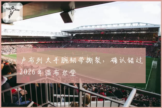 卢布列夫手腕韧带撕裂,确认错过2026年温布尔登