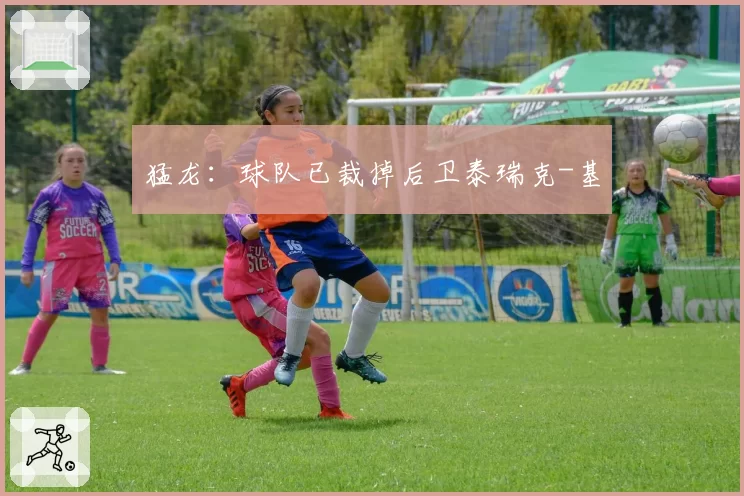 猛龙：球队已裁掉后卫泰瑞克-基