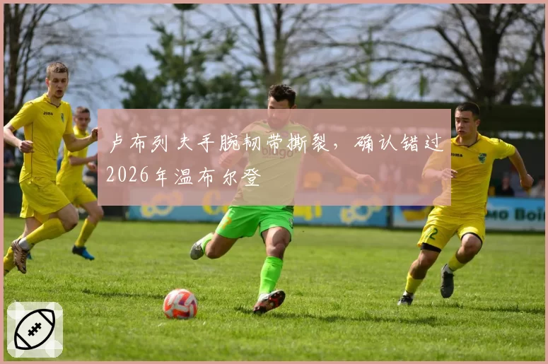 卢布列夫手腕韧带撕裂,确认错过2026年温布尔登
